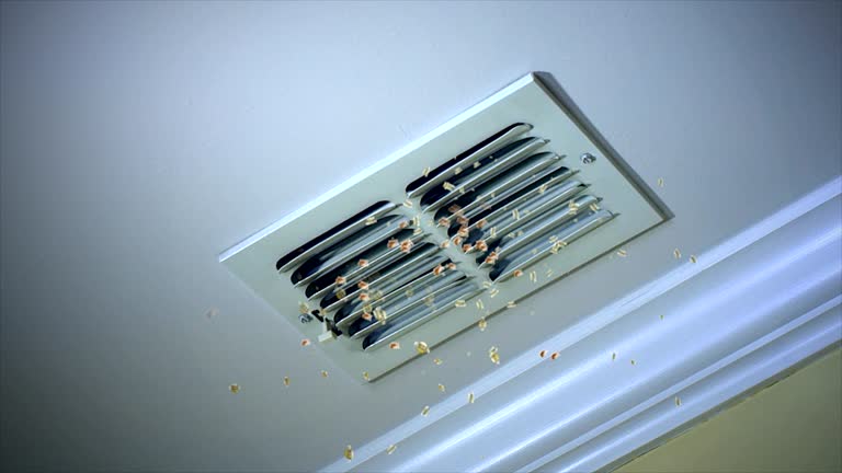 Best Air Duct Cleaning Company Near Me  in Jean Fitte, LA